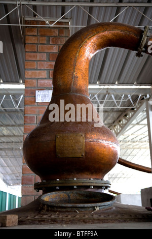 Il Las Vinas de Oro Pisco distilleria in El Carmen quartiere di Chincha, Perù su della costa meridionale del paese. Foto Stock