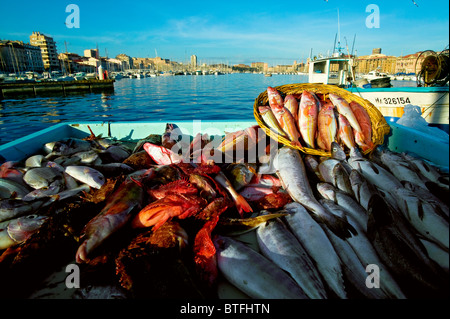 Il mercato di pesce, Quai des Belges, Marsiglia Provenza, FRANCIA Foto Stock