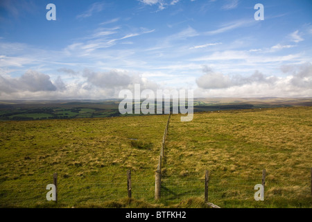Recinzioni in Dartmoor Foto Stock