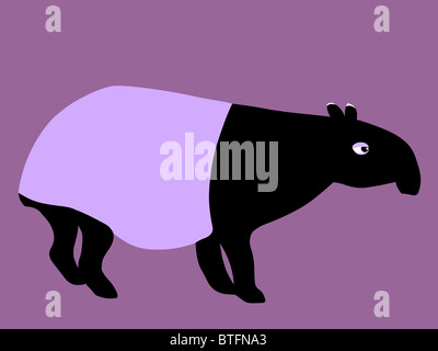 Illustrazione di un tapiro Foto Stock