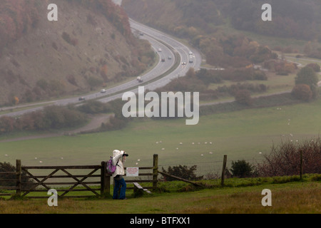 Fotografo contro gate con stile e 'sheep e agnelli pascolano mantenere i vostri cani al guinzaglio' firmare contro la A3 a doppia carreggiata avvolgimento attraverso il South Downs a butser hill Foto Stock