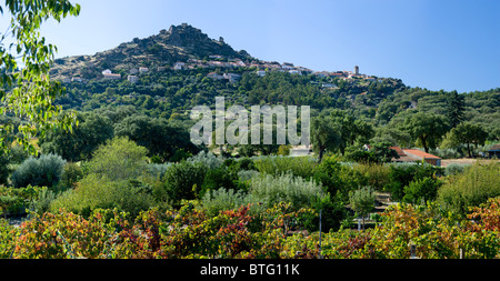 Il Portogallo, Beira Baixa, Monsanto distante vista sul vigneto, sughero e olivi Foto Stock