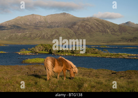 Loch Druidibeg Sud Uist, Ebridi Esterne, Western Isles, Scozia. SCO 7470 Foto Stock