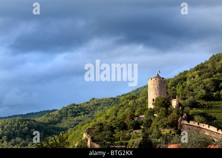 Castello, Kaysersberg, dipartimento dell'Alto Reno, Alsazia, Francia Foto Stock