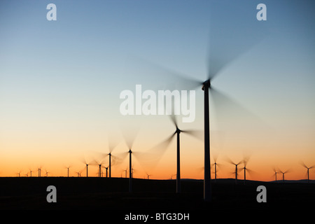 Alba sul Whitlee wind farm a sud di Glasgow, Scozia, Regno Unito, è più grande deuropa onshore wind farm con 140 turbine. Foto Stock