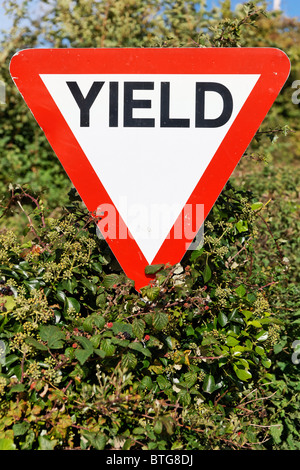 Resa cartello stradale in Irlanda. Foto Stock