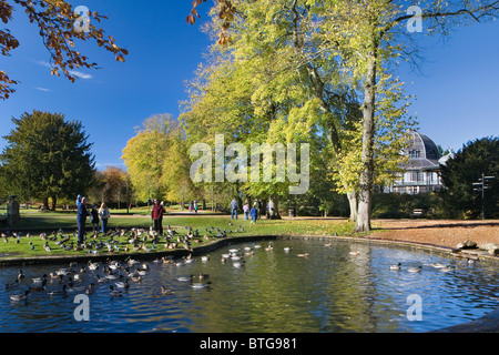 Dar da mangiare alle anatre a Buxton Pavilion Gardens in autunno, Buxton, Derbyshire, England, Regno Unito Foto Stock