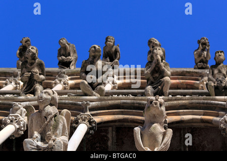 Doccioni sulla facciata della cattedrale di Notre Dame, Dijon, Côte-d'Or departement, Borgogna, Francia Foto Stock