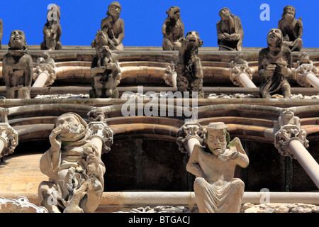 Doccioni sulla facciata della cattedrale di Notre Dame, Dijon, Côte-d'Or departement, Borgogna, Francia Foto Stock