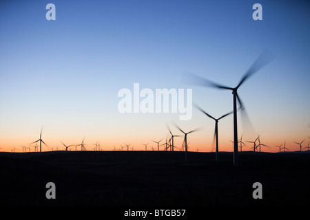 Alba sul Whitlee wind farm a sud di Glasgow, Scozia, Regno Unito, è più grande deuropa onshore wind farm con 140 turbine. Foto Stock