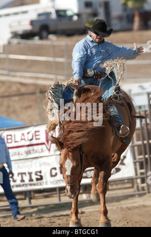 Unidentified cowboy compete in sella Bronc evento presso il San Dimas Rodeo a San Disma il 2 ottobre 2010. Foto Stock