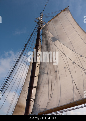 Nave a vela la goletta Appledore off Key West in Florida USA Foto Stock