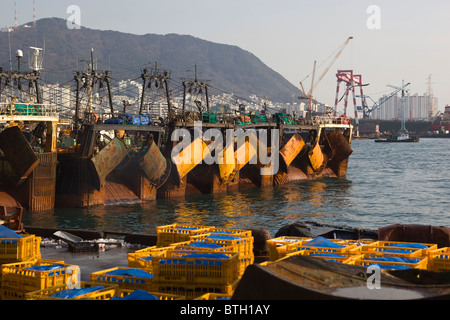 Barche da pesca nel porto di Busan Corea del Sud Foto Stock