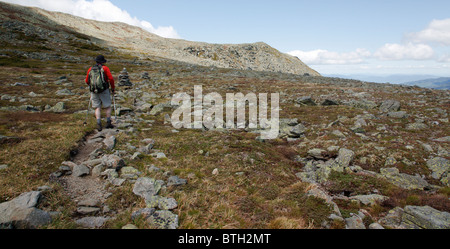 Mount Washington State Park - escursionista sul giardino alpino Trail nelle White Mountains, New Hampshire USA. Foto Stock