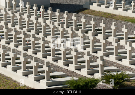 Il cimitero militare. Fin dalla sua creazione nel 1787 Cimitero Lychakiv Lvov, Ucraina Foto Stock