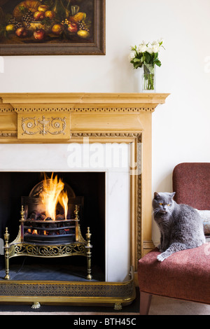 Il posto del fuoco con gatto grigio Interno dell appartamento Foto Stock