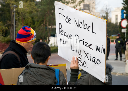 La Polonia 2010 novembre 02,Free Tibet Tibet rappresentanti protestano contro la frenata la legge,anteriore del Sejm a Varsavia Foto Stock