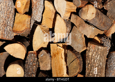 Palo di legno stoccati per l'inverno nelle Marche,l'Italia. Foto Stock