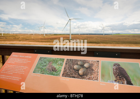 Un segno riguardo alla fauna selvatica a Whitelee wind farm su Eaglesham Moor appena a sud di Glasgow in Scozia, Regno Unito Foto Stock