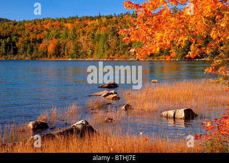 I colori autunnali su Eagle stagno nel Parco Nazionale di Acadia, Maine, Stati Uniti d'America Foto Stock