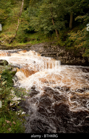 Forza Stainforth, vicino a Settle, North Yorkshire Foto Stock