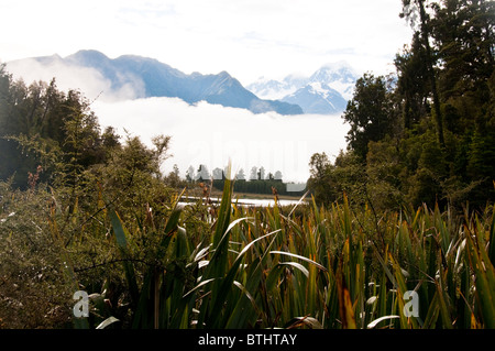 Il lago Matheson, Mount Tasman, Mount Cook ,vicino a Franz Josef, Westland National Park,Isola del Sud,Nuova Zelanda Foto Stock