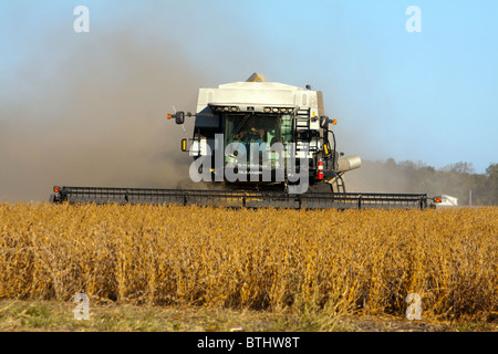 Una mietitrebbia il raccolto di soia in Illinois. Foto Stock