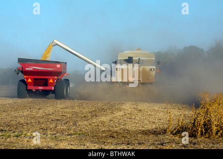 Una mietitrebbia il raccolto di soia in Illinois. Foto Stock