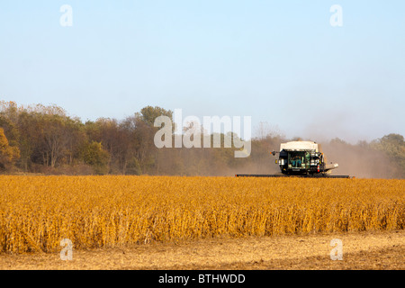 Una mietitrebbia il raccolto di soia in Illinois. Foto Stock