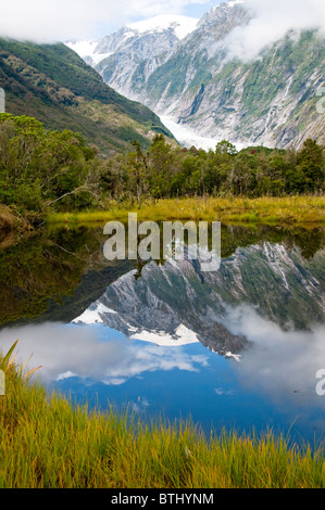 Franz Joseph Glacier,Peters Pool,riflessioni del ghiacciaio,Douglas via,Isola del Sud,Nuova Zelanda Foto Stock