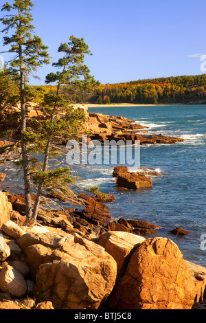 Costa del Parco Nazionale di Acadia, Maine, Stati Uniti d'America Foto Stock