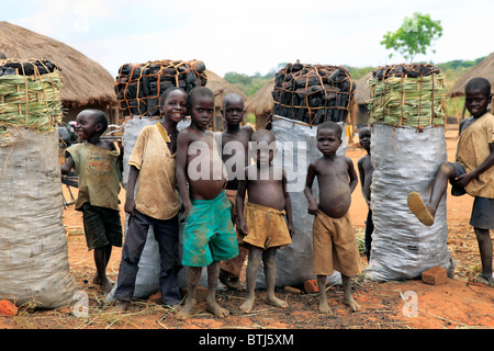 Villaggio, Acholiland, Uganda, Africa orientale Foto Stock