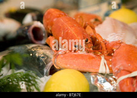 Aragosta per la vendita su un pesce in stallo nel mercato francese delle città di Coulommiers vicino a Parigi, Ile de France Francia Foto Stock