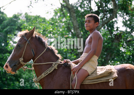 Un ragazzo corse il suo cavallo nelle Highlands di SIGATOKA River Valley - Viti Levu, Isole Figi Foto Stock