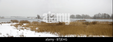 Paesaggio invernale lungo il fiume Mosa vicino Poederoijen, Gelderland, Paesi Bassi Foto Stock