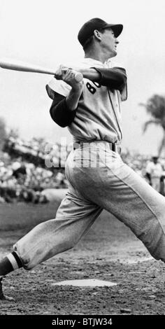 Ted Williams dei Boston Red Sox, ca. 1951 Ted Williams ottiene Batting Practice colpendo pompelmi piantato da Red Xox gestire Foto Stock