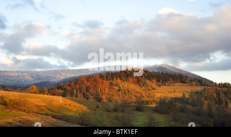 In Autunno le montagne dei Carpazi. L'Ucraina Foto Stock