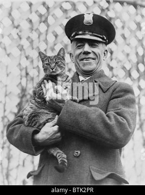 Tige, la Casa Bianca cat e pet della prima signora grazia Coolidge è stato restituito, Benjamin Fink, guardia presso il Dipartimento della Marina trovato Tige promenading intorno alla costruzione navale e subito tornato alla Casa Bianca, Tige la sparizione era stato trasmesso da Washington DC, stazioni radio, fotografia, circa il 25 marzo 1924 Foto Stock