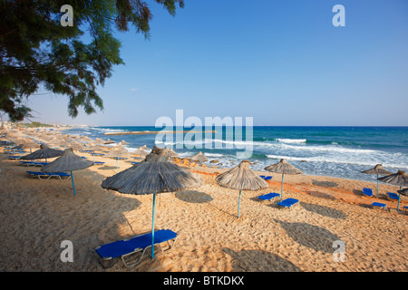 Con tetto di paglia di ombrelloni e sedie a sdraio su di una spiaggia di sabbia vicino a Hersonissos. Isola di Creta, Grecia. Foto Stock
