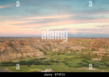 Parco Provinciale dei Dinosauri, Alberta, Canada Foto Stock