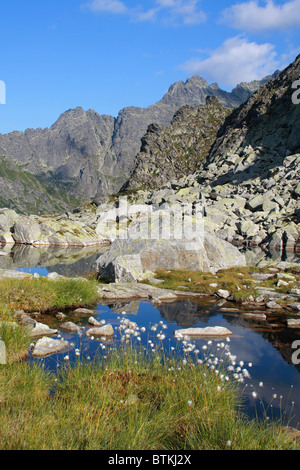 Stawki Mnichowe (laghi) nell'za Mnichem Valley, Monti Tatra, Polonia Foto Stock