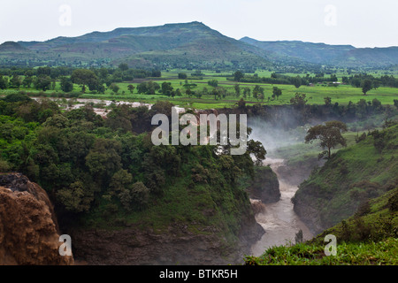 Blue Nile falls, Lago Tana Foto Stock