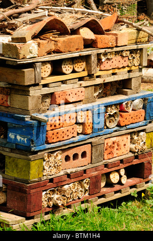 Bug Hotel - artificiale casa previsto per gli insetti e altri invertebrati. Kent, Inghilterra Foto Stock