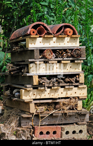 Bug Hotel - artificiale casa previsto per gli insetti e altri invertebrati. Kent, Inghilterra Foto Stock