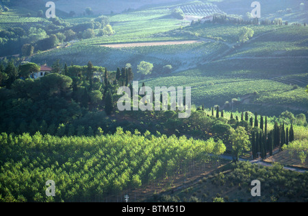 Colline Toscane vicino a San Gimignano Italia che mostra i campi coltivati ovunque Foto Stock