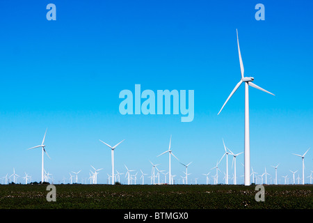 Wind Farm le torri a turbina si elevano al di sopra dei campi di cotone nelle zone rurali del Texas. Foto Stock