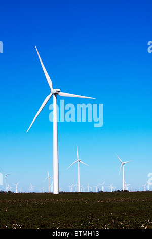 Wind Farm le torri a turbina si elevano al di sopra dei campi di cotone nelle zone rurali del Texas. Foto Stock