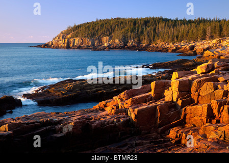 La mattina presto a Otter Cliffs nel Parco Nazionale di Acadia, Maine, Stati Uniti d'America Foto Stock