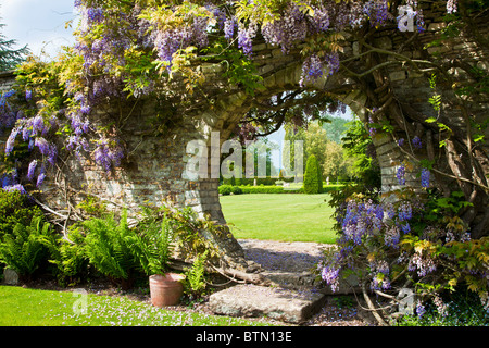 Il Glicine cresce su una apertura circolare in una parete del giardino con una vista attraverso il prato al di là. Foto Stock