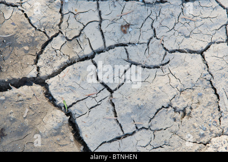 Asciutto terra rotto dopo un lungo periodo di siccità. Foto Stock